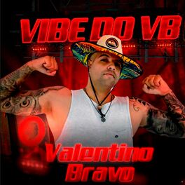 Album cover of Vibe do Vb