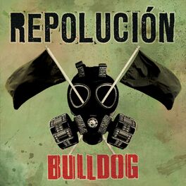 Album cover of Repolución