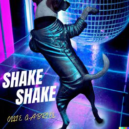 Album cover of SHAKE SHAKE
