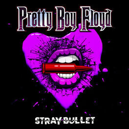 Album cover of Stray Bullet