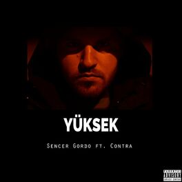 Album cover of Yüksek