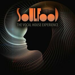 Album cover of Soulfood: The Vocal House Experience