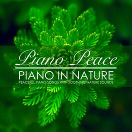 Album cover of Piano in Nature