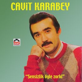 Album cover of Sensizlik Öyle Zor Ki