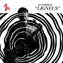 Album cover of Ligneus