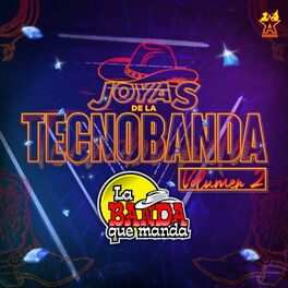 Album cover of Joyas de la Tecnobanda, Vol. 2
