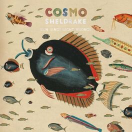 Cosmo Sheldrake - Nightingale Wake Up Call Lyrics and Tracklist