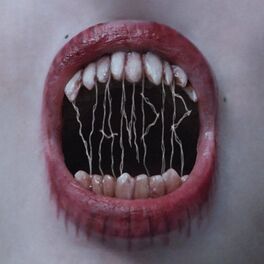 Album cover of VAMPIR