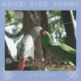 Album cover of ASMR: Bird Songs