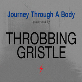 Album cover of Journey Through a Body