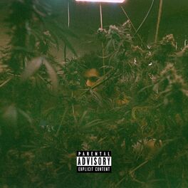 Album cover of Cozinha Marginal
