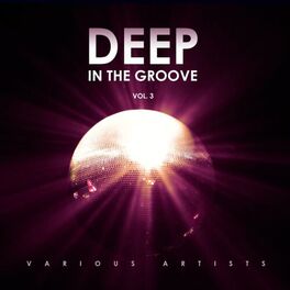 Album cover of Deep in the Groove, Vol. 3