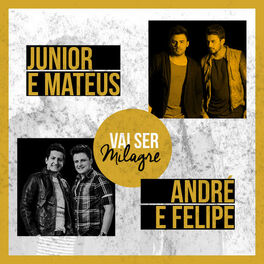 Album cover of Vai Ser Milagre