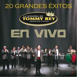 Album cover of 20 Grandes Exitos (Live)