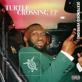 Album cover of Turtle Crossing EP (Extended Cut)