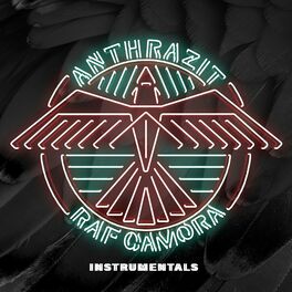 Album cover of Anthrazit (Instrumentals)