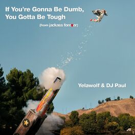 Album cover of If You're Gonna Be Dumb, You Gotta Be Tough (From 