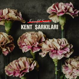 Album cover of Karanfil Sonatı