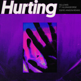 Album cover of Hurting (Gerd Janson Remix)