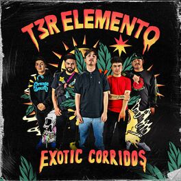 Album cover of Exotic Corridos