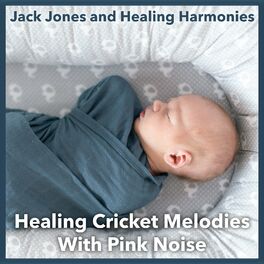 Album cover of Healing Cricket Melodies with Pink Noise