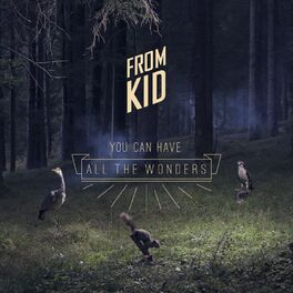 Album cover of You Can Have All the Wonders