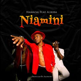 Album cover of Niamini