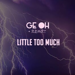 Album cover of Little Too Much (feat. RZMRY)