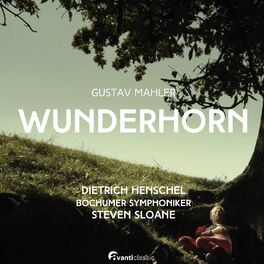 Album cover of WUNDERHORN