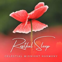 Album cover of Dreamscapes in Silence: Meditative Melodies for Restful Sleep