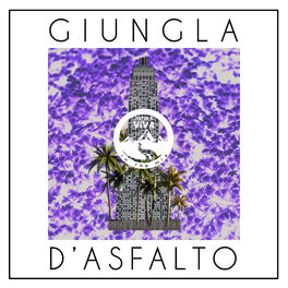 Album cover of Giungla d'asfalto