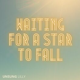 Album cover of Waiting for a Star to Fall