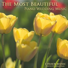 Album cover of The Most Beautiful Piano Wedding Music