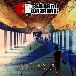 Album cover of Antiaxial