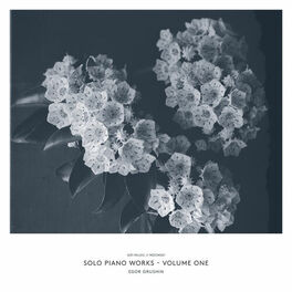 Album cover of Solo Piano Works Vol. One