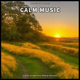 Album cover of ! ! ! ! Calm Music to Relax, for Night Sleep, Reading, Motivation