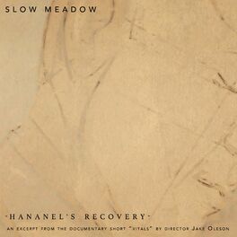 Album cover of Hananel's Recovery