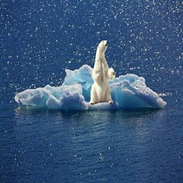 Album cover of To The Pole At Least Try To Let It Go