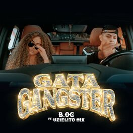 Album cover of Gata Gangster