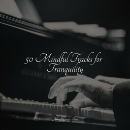 Album cover of 50 Mindful Tracks for Tranquility