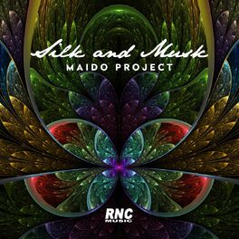 Album cover of Silk and Musk