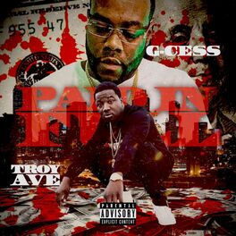 Album cover of Paid N Full (feat. Troy Ave & Money Way Vegas)