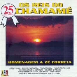 Album cover of 25 Sucessos: Os Reis do Chamamé (Homenagem a Zé Correia)