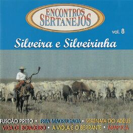 Album cover of Encontros Sertanejos, Vol. 8