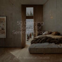 Lost Forest - música y letra de Yoga Society, Relaxing Spa Music