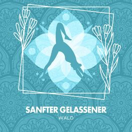 Album cover of Sanfter Gelassener Wald