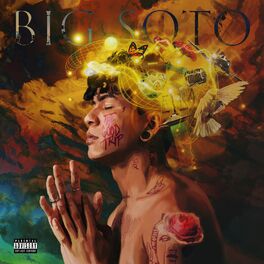 Album cover of The Good Trip