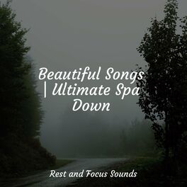 Album cover of Beautiful Songs | Ultimate Spa Down