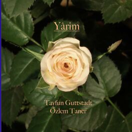 Album cover of Yârim (Yarim derdini ver bana) (feat. Özlem Taner)