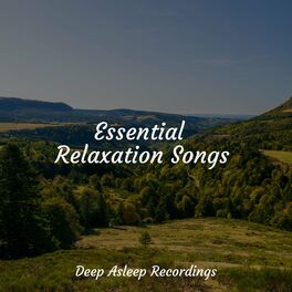 Album cover of Essential Relaxation Songs